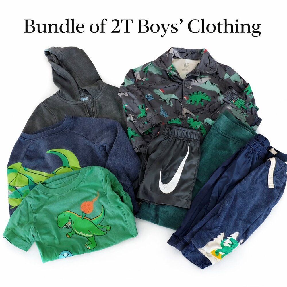 Toddler Boys 2T Clothing Bundle 10pc Dinosaur Outfits Pajamas Tees Pants Shorts